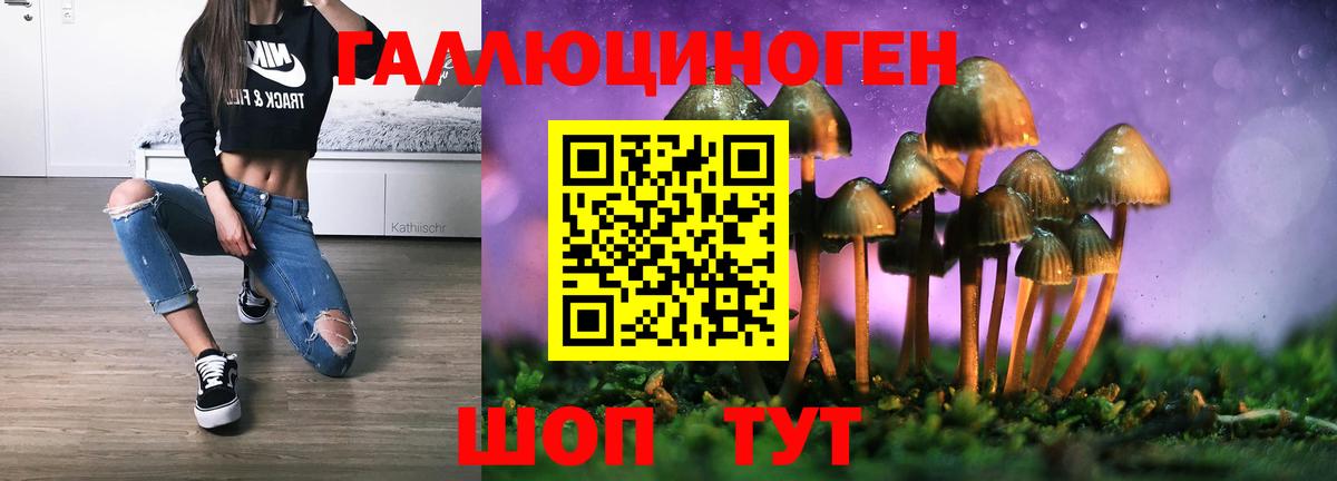 магазин    Псилоцибиновые грибы MAGIC MUSHROOMS  Темрюк  Вход с VPN  Псилоцибиновые грибы Psilocybine cubensis 